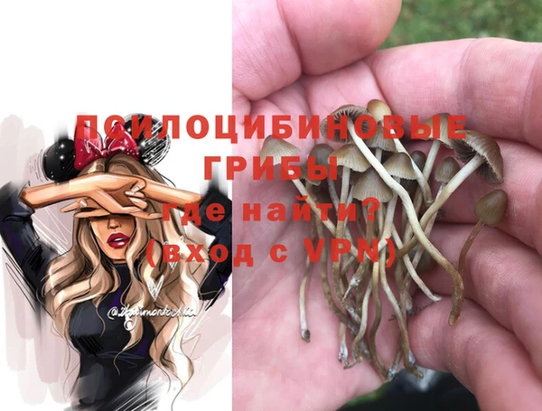 хмурый Карпинск
