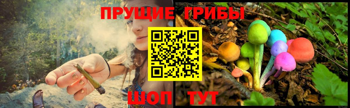 Псилоцибиновые грибы GOLDEN TEACHER Ачинск