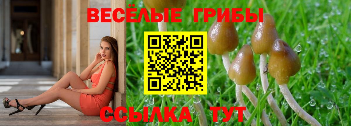 Псилоцибиновые грибы мицелий Ачинск